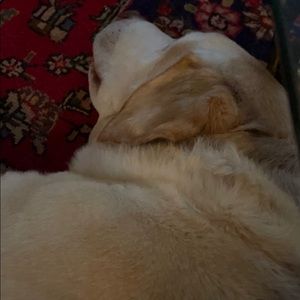 Meet your Posher, Kendra